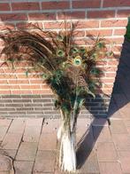 pauwenveren, Ophalen, Zo goed als nieuw