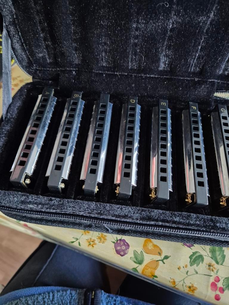 Hohner Bluesband Harmonica Set met Koffer, Muziek en Instrumenten, Blaasinstrumenten | Mondharmonica's, Zo goed als nieuw, C-mondharmonica