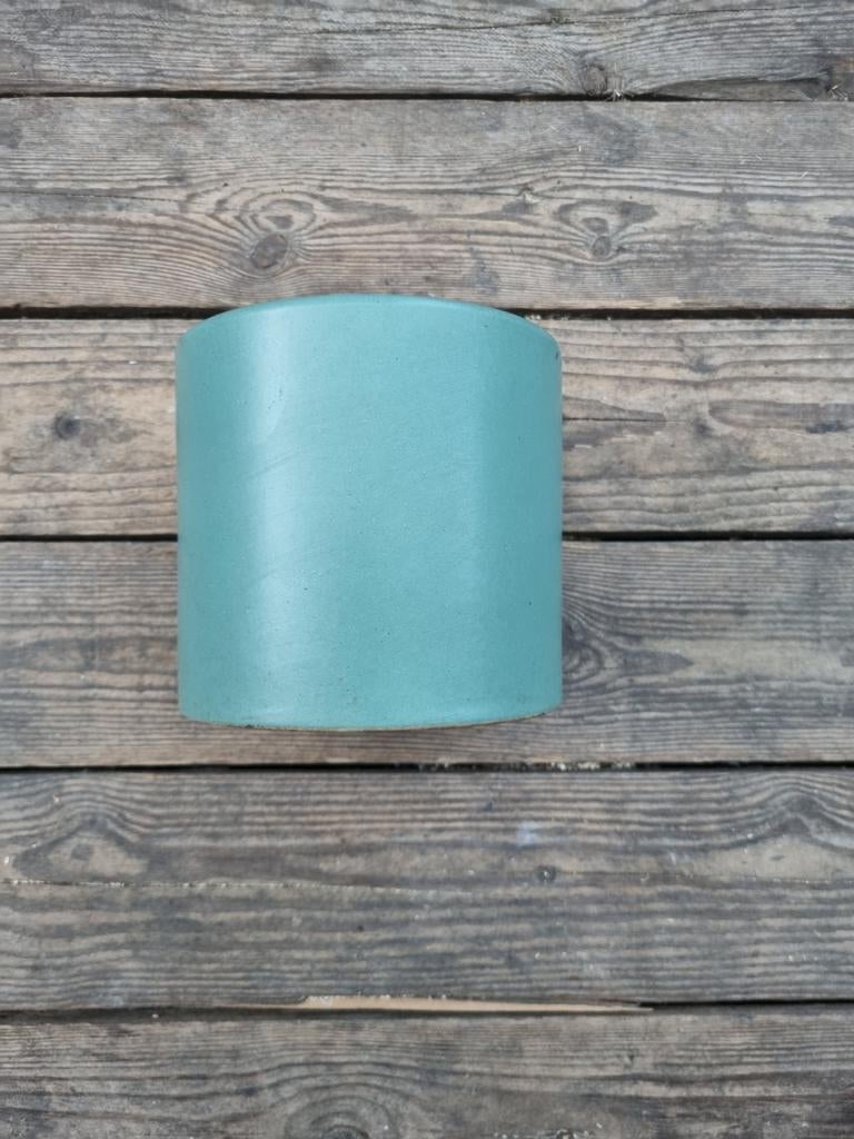 Bloempot ca 12 cm hoog, Ophalen, Halfschaduw, Minder dan 100 cm