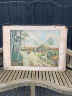 Schoolplaat - De heide in mei, Ophalen, Natuur en Biologie