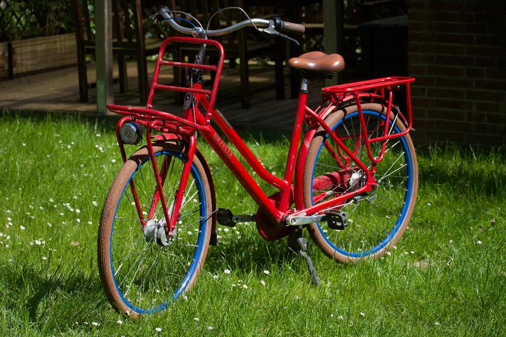 Gazelle Heavy Duty NL rood, Fietsen en Brommers, Ophalen, Velgrem, Versnellingen, Gazelle