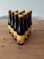 10 flesjes 33cl st. Bernardus Pater 6. Belgium Dubbel, Ophalen, Nieuw, Flesje(s), Overige merken