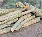 TE KOOP, KACHELHOUT. openhaard hout., Tuin en Terras, Haardhout, 3 tot 6 m³, Ophalen of Verzenden, Overige houtsoorten, Stammen