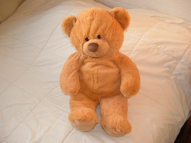 EVORA KRUIDVAT BEER PLUCHE LANGHARIG GEELBRUIN MET, Kinderen en Baby's, Ophalen of Verzenden, Nieuw, Overige typen