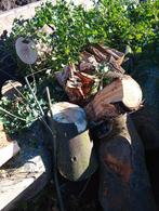 Brandhout te koop - Verschillende soorten, 6 m³ of meer, Ophalen of Verzenden, Overige houtsoorten, Stammen