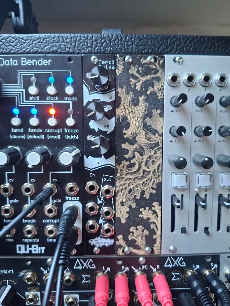 Qu-Bit Data Bender Eurorack Module, Ophalen of Verzenden, Zo goed als nieuw