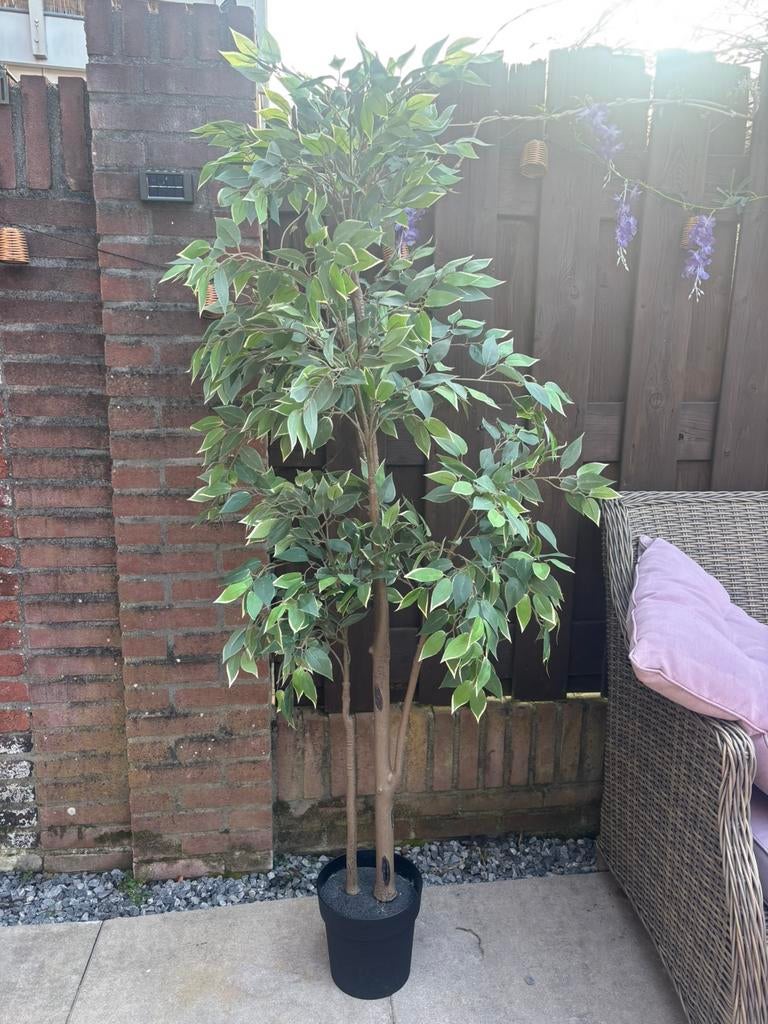 Ikea kunstplant, Ophalen, Halfschaduw, Overige soorten, Minder dan 100 cm