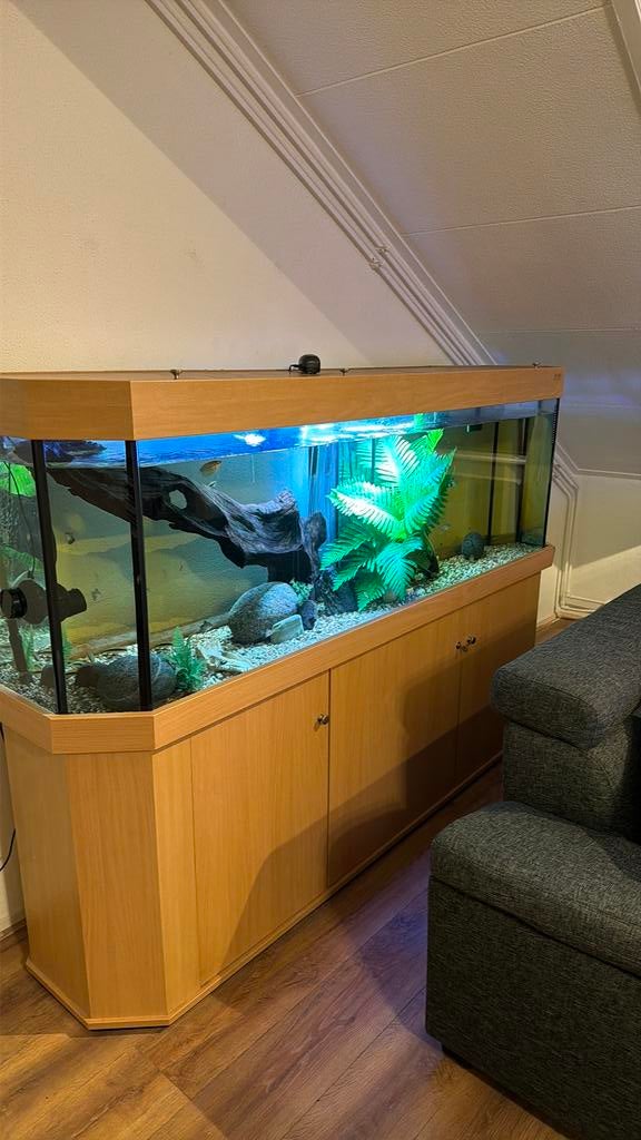 Groot compleet aquarium 700 liter incl. meubel, vissen., Dieren en Toebehoren, Vis