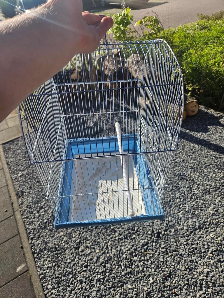 Vogelkooi, Dieren en Toebehoren, Vogels | Hokken en Kooien, Ophalen of Verzenden, Metaal, Vogelkooi