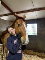 Verzorgster aangeboden, Dieren en Toebehoren, Ophalen of Verzenden