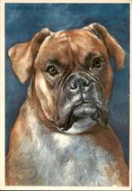 Voor het kind, boxer, H. Rol, Verzenden, 1960 tot 1980, Gelopen, Overige thema's