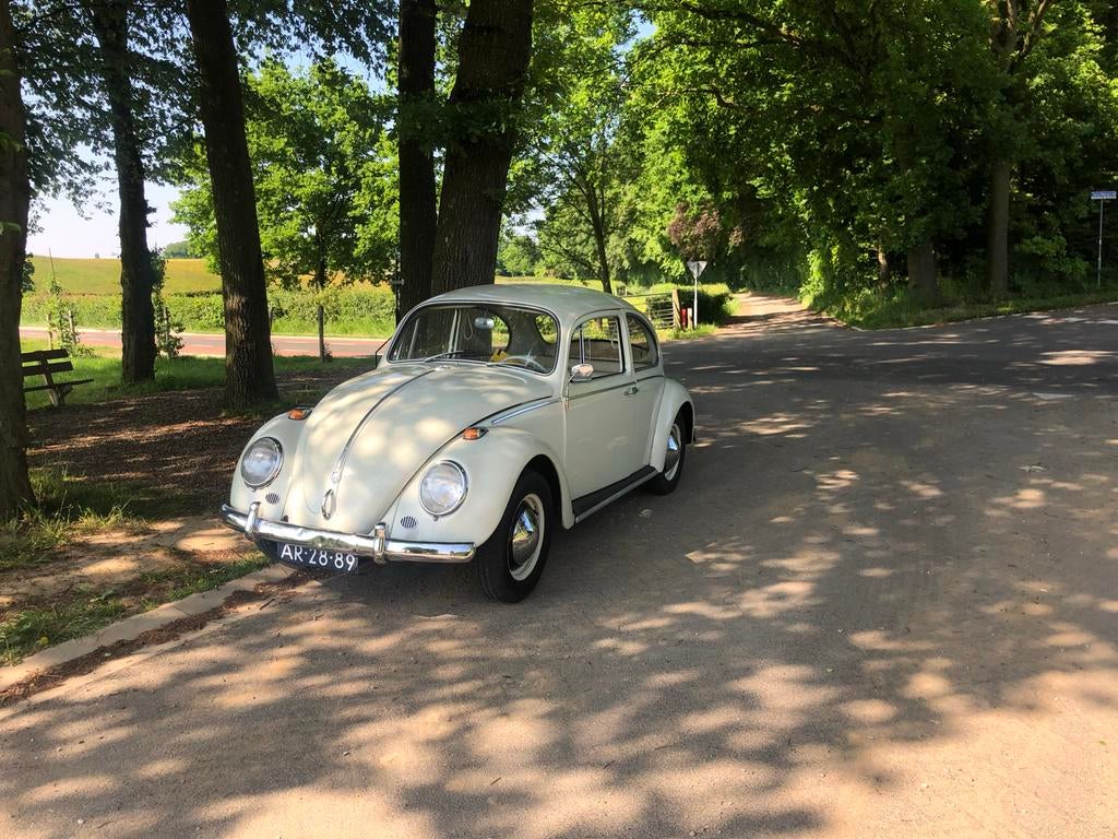 Volkswagen kever 1965, Wit, 740 kg, 1285 cc, Particulier