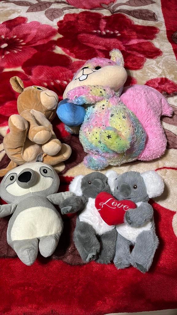 Mooie nieuwe knuffels, Ophalen, Zo goed als nieuw, Overige typen