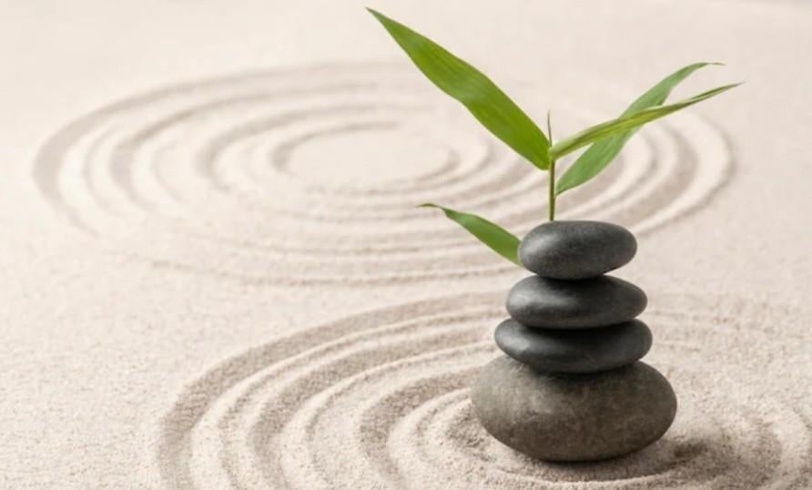 BE Wavre: tedere massage en/of gommage vanaf 60€ (NL/FR), Diensten en Vakmensen