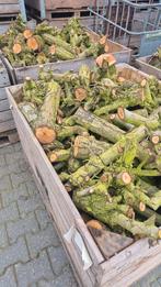 Ongekliefd haardhout peer, Tuin en Terras, Haardhout, Minder dan 3 m³, Ophalen, Overige houtsoorten, Stammen