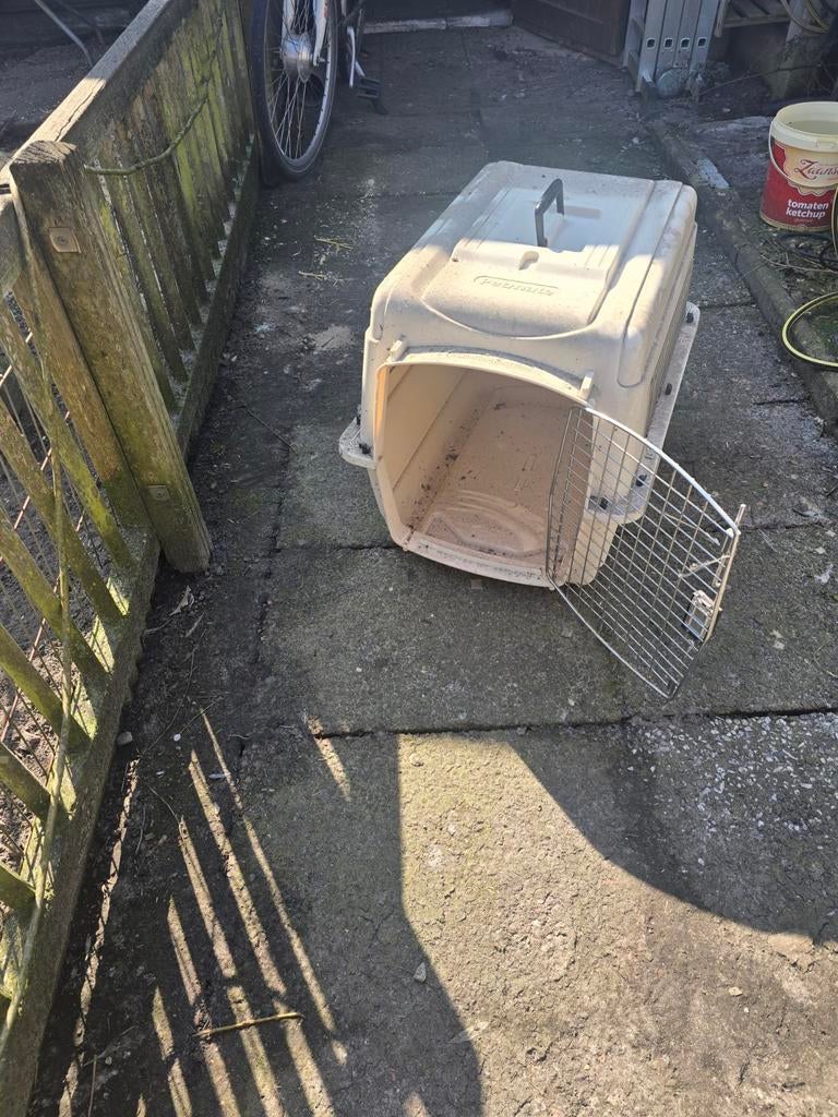 Honden bench, Dieren en Toebehoren, Ophalen, Gebruikt
