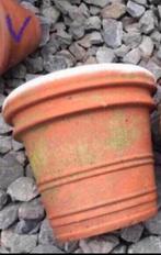 Grote oude Italiaanse terracotta pot bloempot 31/35cm, 25 tot 40 cm, Gebruikt, Rond, Ophalen of Verzenden