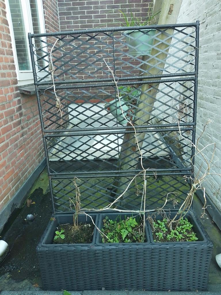 Plantenbak voor klimplanten, Ophalen, Kunststof, Balkon, 60 cm of meer