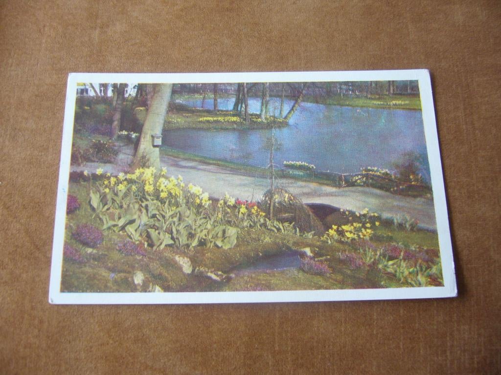 LISSE  =  KEUKENHOF, Ophalen of Verzenden, 1940 tot 1960, Gelopen