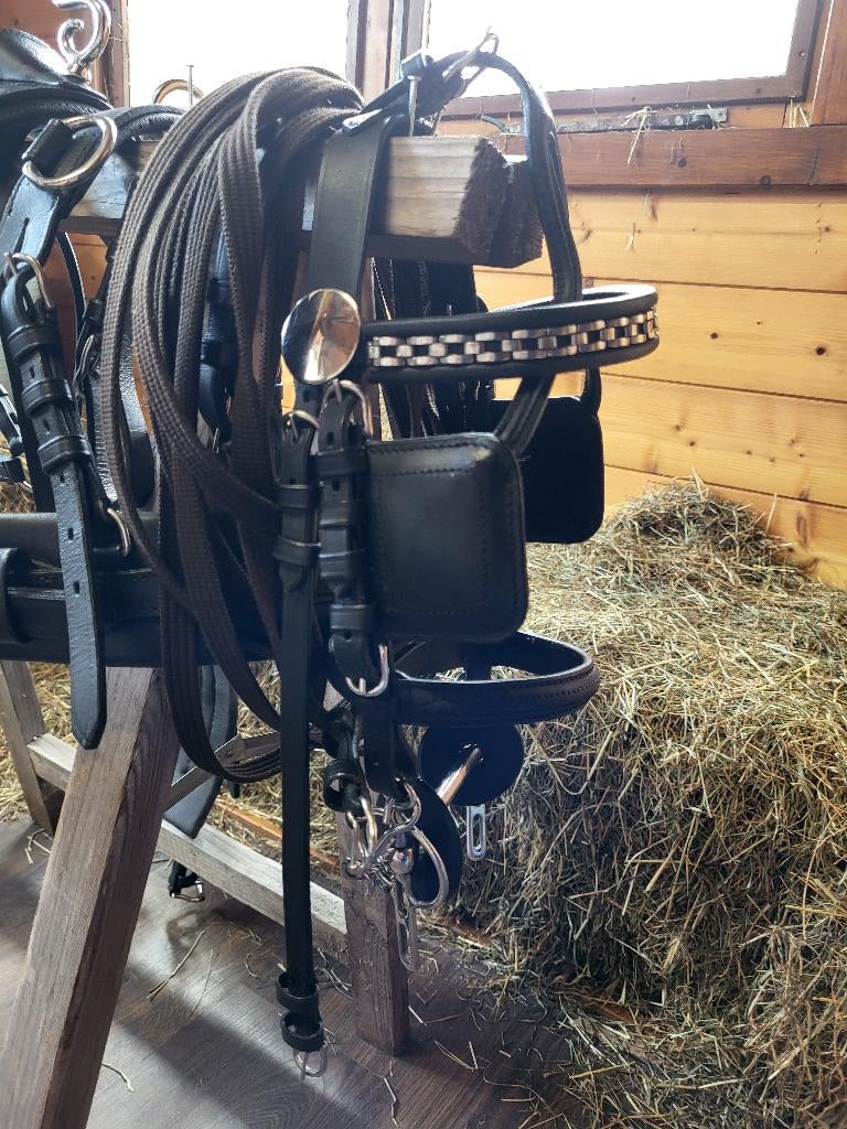 Mini shetlander tuig, Ophalen of Verzenden, Zo goed als nieuw, Overige soorten