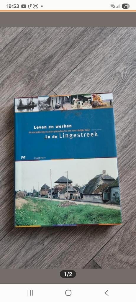 Leven en werken in de Lingestreek - Paul Brusse, Ophalen of Verzenden, Gelezen, Paul brusse