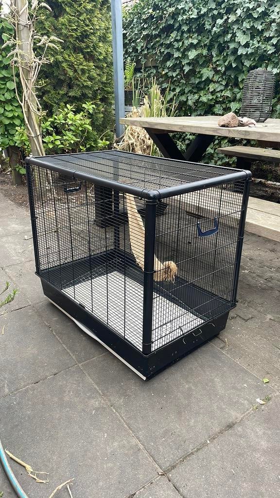 Mooie ratten of fretten kooi!!, Ophalen, Zo goed als nieuw, Overige typen