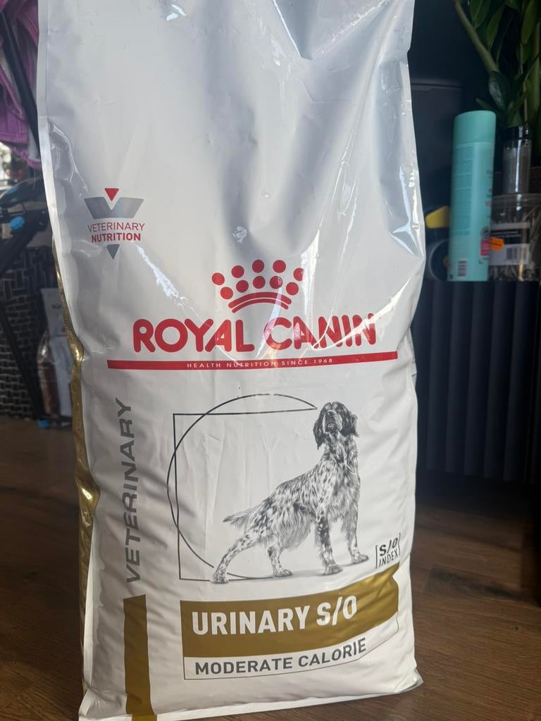 Hondenvoer en kattenvoer, Dieren en Toebehoren, Dierenvoeding, Ophalen of Verzenden, Hond