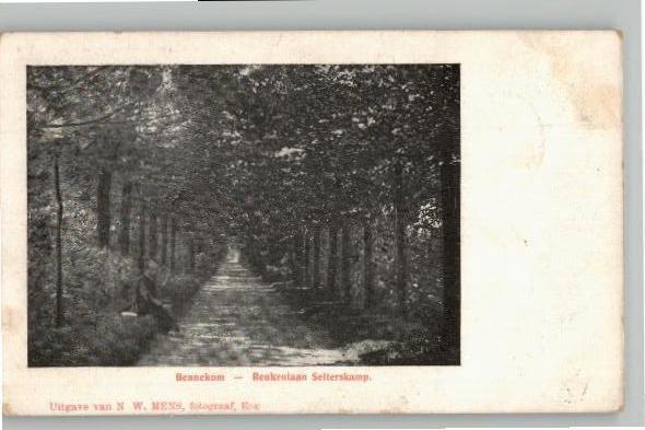 Bennekom Beukenlaan Selterskamp  st 1906, Verzamelen, Ansichtkaarten | Nederland, Gelopen, Gelderland, Voor 1920, Verzenden