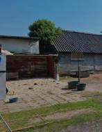 Th, Gezamelijke shetlander stalling Westbroek., Dieren en Toebehoren, Stalling en Weidegang, Stalling