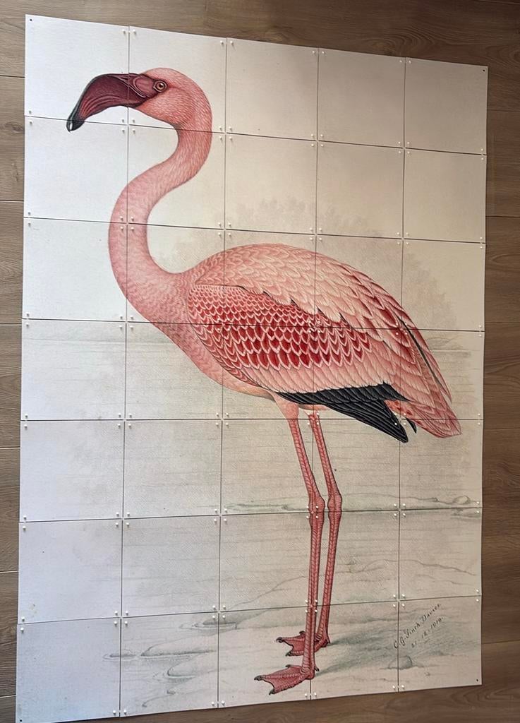 IXXI lesser flamingo afmeting 100 x 140 cm (groot formaat), Ophalen of Verzenden, Zo goed als nieuw, Schilderij, 75 tot 100 cm