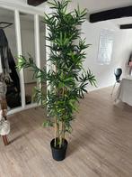 large fake plant, Ophalen of Verzenden, Zo goed als nieuw