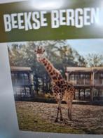 Safaripark beekse bergen e-tickets, meerdere aanwezig, Drie personen of meer, Ticket of Toegangskaart