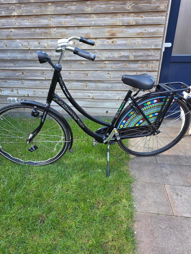 Nette damesfiets met vrolijke jasbeschermers, Velgrem, Ophalen, Overige merken, 53 tot 56 cm