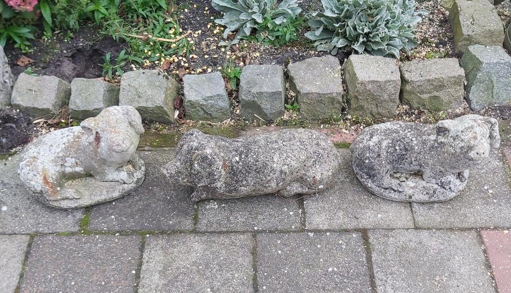 beeld beelden betonnen varkens, Antiek en Kunst, Ophalen