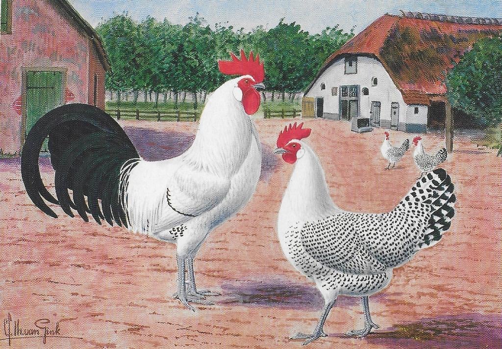 2 C S Th van Gink full colour kaarten Groninger Meeuw, Ophalen of Verzenden, Voor 1920, Paard