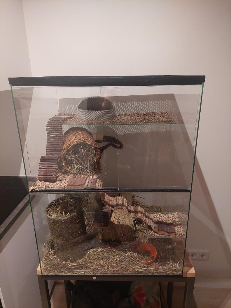 Terrarium/glazen kooi, Ophalen, Kooi, Gebruikt, 60 tot 90 cm