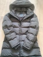 Airforce damesjas, Kleding | Dames, Jassen | Winter, Ophalen, Overige kleuren, Airforce, Zo goed als nieuw