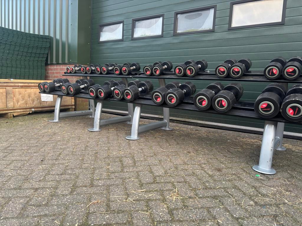 Lifefitness dumbbellset 2-30 inclusief rekken, Sport en Fitness, Fitnessmaterialen, Ophalen, Gebruikt, Overige typen, Lf