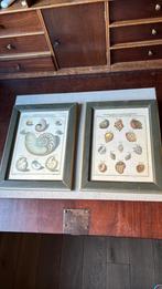 Schelpen schilderijen - ikea, Huis en Inrichting, Ophalen of Verzenden, Gebruikt, Schilderij, Minder dan 50 cm