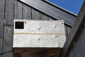 Kerkuilvogelhuis beschikbaar voor biedingen