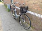GAZELLE IMPALA DAMESFIETS 53 CM 4V, Fietsen en Brommers, Fietsen | Dames | Damesfietsen, Versnellingen, Ophalen of Verzenden, Gazelle