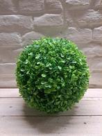 Kunst Buxus Bol Middel, Verzenden, Nieuw, Binnen