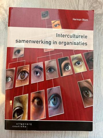 H. Blom - Interculturele samenwerking in organisaties beschikbaar voor biedingen