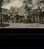 Delfzijl Hotel Wilhelmina StationskoffiehuisRijtuig+2paarden, Verzamelen, Ansichtkaarten | Nederland, Ophalen of Verzenden, Voor 1920