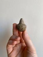 Mini karaf / flesje van notenhout, Ophalen of Verzenden
