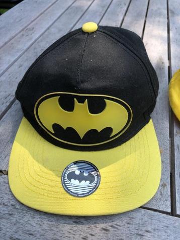 Pet Batman  beschikbaar voor biedingen