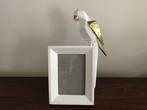 Mooie witte goud lijst kader met glas papegaai, Huis en Inrichting, Overige materialen, Minder dan 50 cm, Ophalen of Verzenden