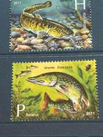 Vissen, Wit-Rusland 2011, Ophalen of Verzenden, Postfris, Dier of Natuur