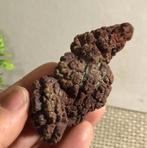 Coprolite Dinosauruspoep (J2), Verzenden, Fossiel