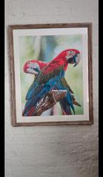 Diamond Painting Papagaai in Lijst, Antiek en Kunst, Ophalen of Verzenden